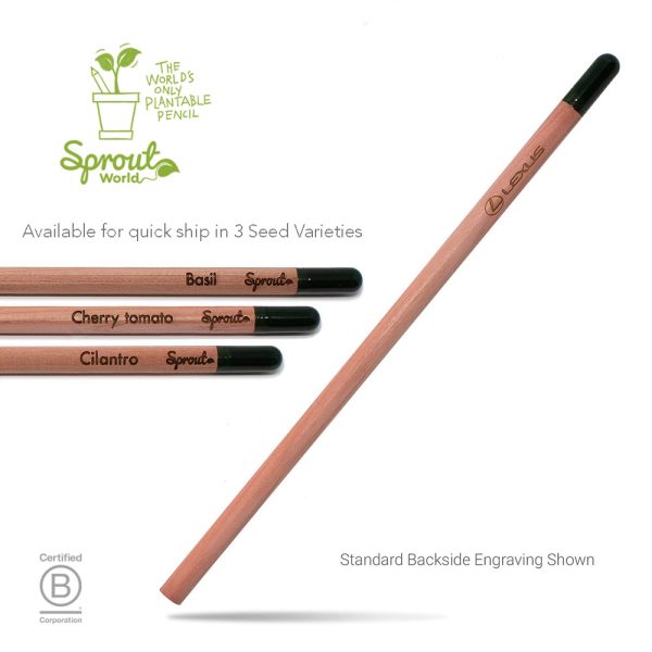 Sprout Pencil